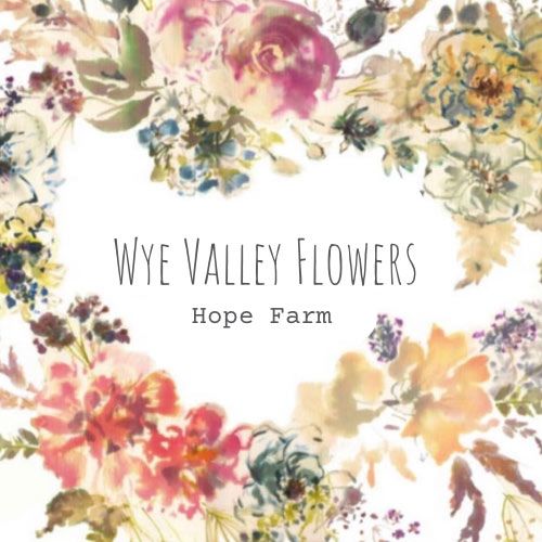 Wye Valley Flowers Logo