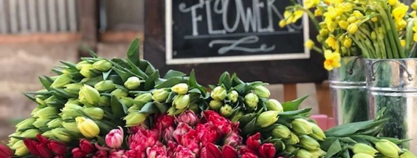 Valentine's Day Flowers - Buy Local